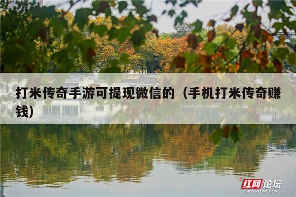 打米传奇手游可提现微信的(手机打米传奇赚钱)
