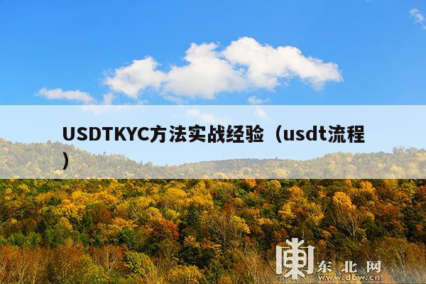 USDTKYC方法实战经验(usdt流程)