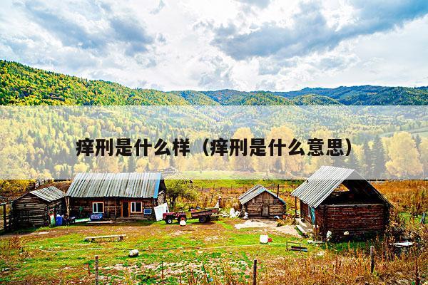 痒刑是什么样(痒刑是什么意思)