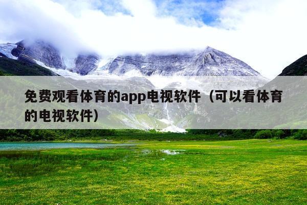 免费观看体育的app电视软件(可以看体育的电视软件)