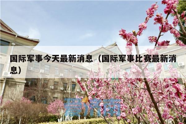 国际军事今天最新消息(国际军事比赛最新消息)