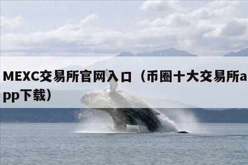 MEXC交易所官网入口(币圈十大交易所app下载)