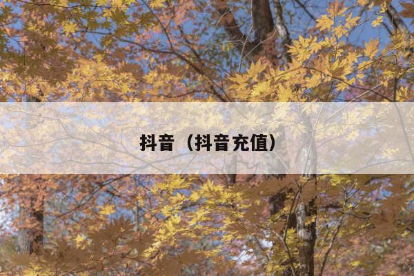 抖音(抖音充值)