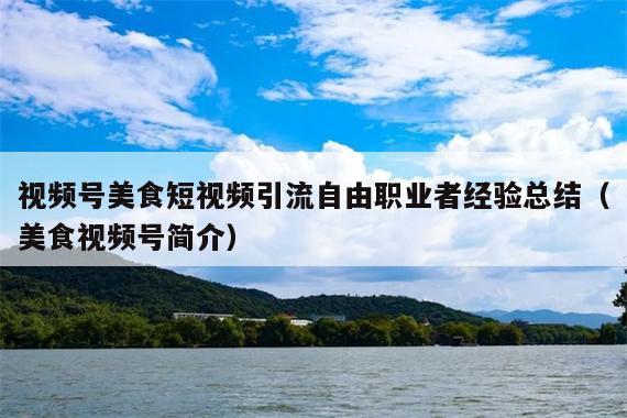 视频号美食短视频引流自由职业者经验总结(美食视频号简介)