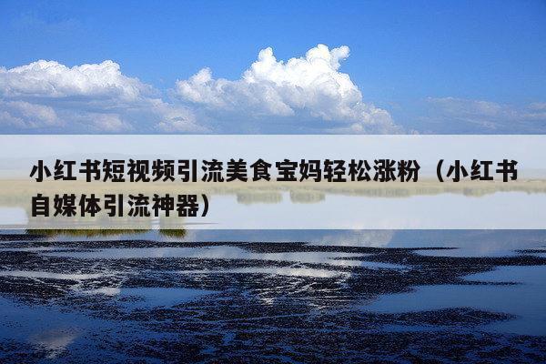 小红书短视频引流美食宝妈轻松涨粉(小红书自媒体引流神器)