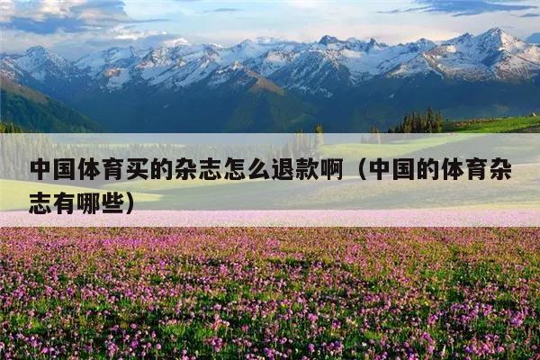 中国体育买的杂志怎么退款啊(中国的体育杂志有哪些)