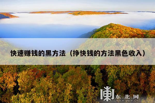 快速赚钱的黑方法(挣快钱的方法黑色收入)