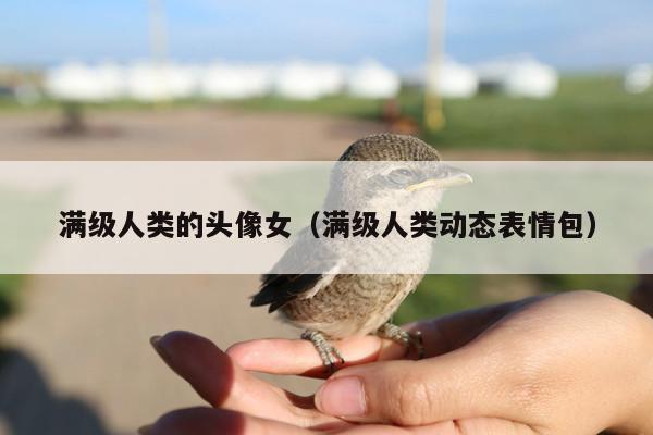 满级人类的头像女(满级人类动态表情包)