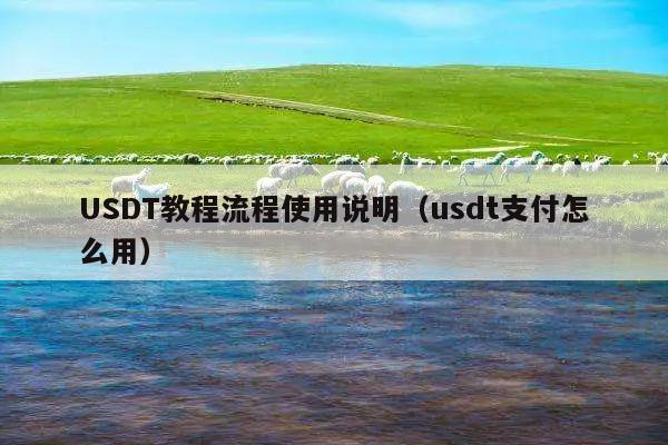 USDT教程流程使用说明(usdt支付怎么用)