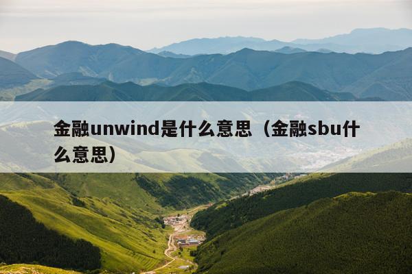 金融unwind是什么意思(金融sbu什么意思)