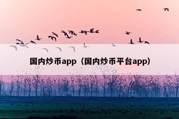 国内炒币app(国内炒币平台app)