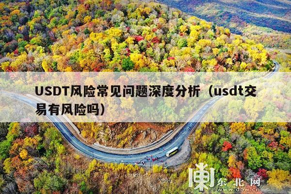 USDT风险常见问题深度分析(usdt交易有风险吗)