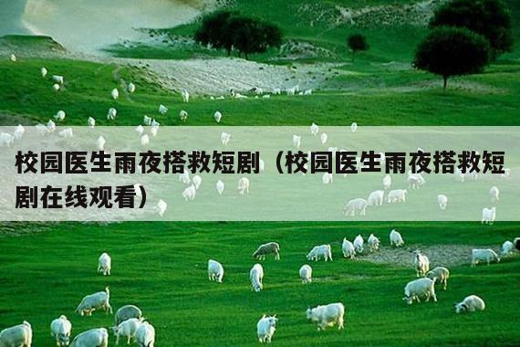 校园医生雨夜搭救短剧(校园医生雨夜搭救短剧在线观看)