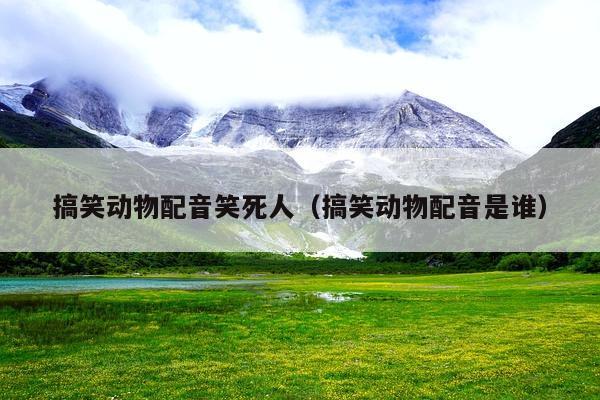 搞笑动物配音笑死人(搞笑动物配音是谁)