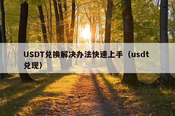USDT兑换解决办法快速上手(usdt 兑现)