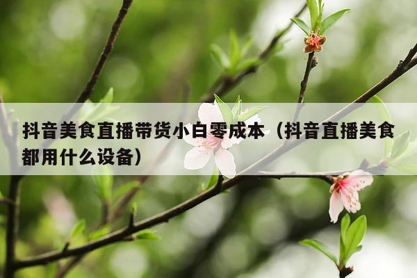 抖音美食直播带货小白零成本(抖音直播美食都用什么设备)