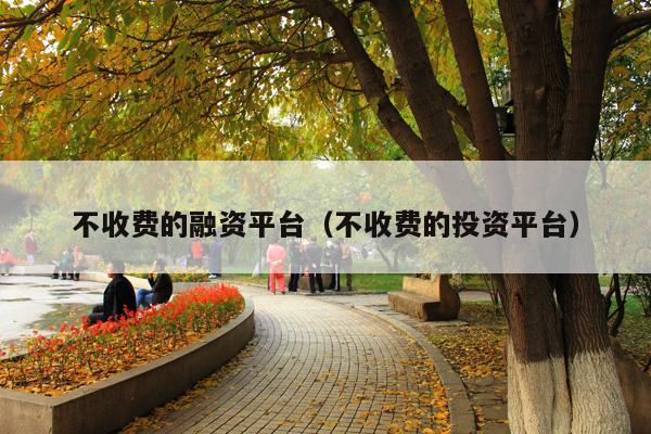 不收费的融资平台(不收费的投资平台)