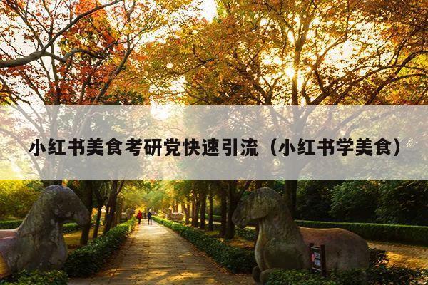 小红书美食考研党快速引流(小红书学美食)