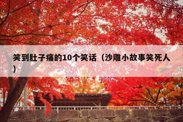 笑到肚子痛的10个笑话(沙雕小故事笑死人)