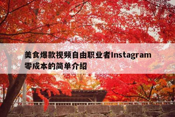 美食爆款视频自由职业者Instagram零成本的简单介绍