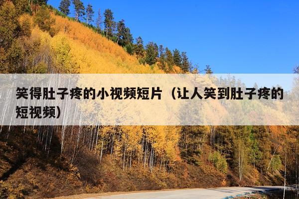 笑得肚子疼的小视频短片(让人笑到肚子疼的短视频)