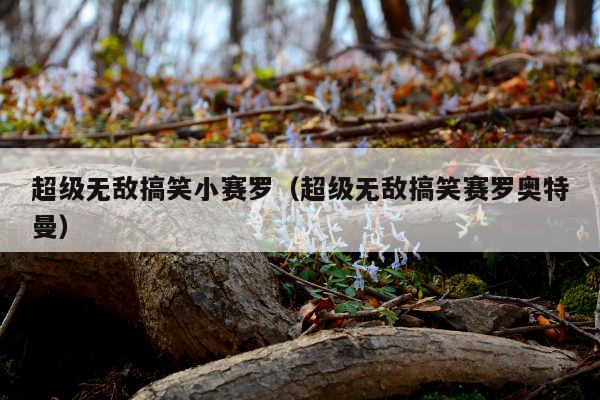 超级无敌搞笑小赛罗(超级无敌搞笑赛罗奥特曼)
