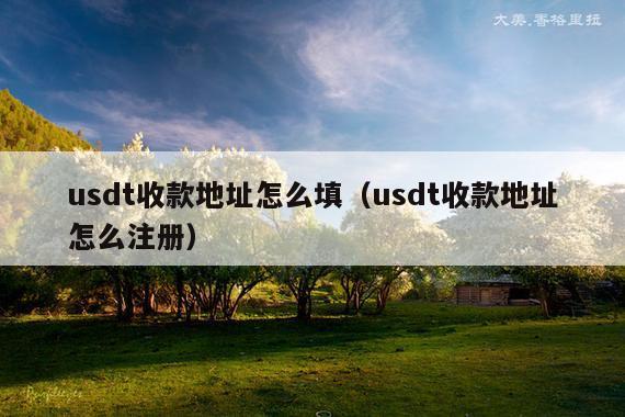 usdt收款地址怎么填(usdt收款地址怎么注册)