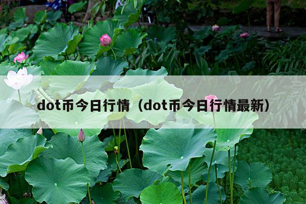 dot币今日行情(dot币今日行情最新)