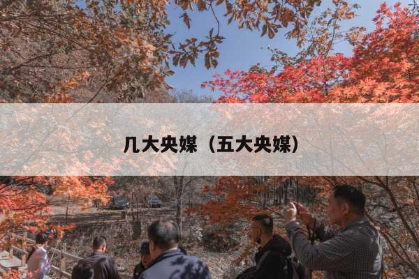 几大央媒(五大央媒)