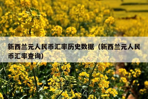 新西兰元人民币汇率历史数据(新西兰元人民币汇率查询)