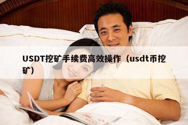 USDT挖矿手续费高效操作(usdt币挖矿)