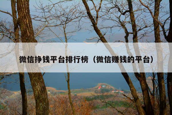 微信挣钱平台排行榜(微信赚钱的平台)