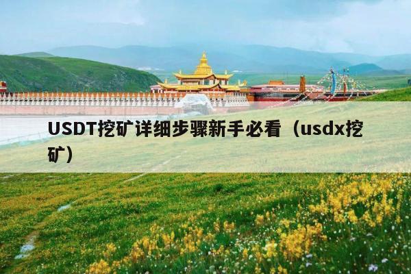 USDT挖矿详细步骤新手必看(usdx挖矿)