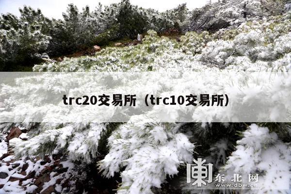 trc20交易所(trc10交易所)