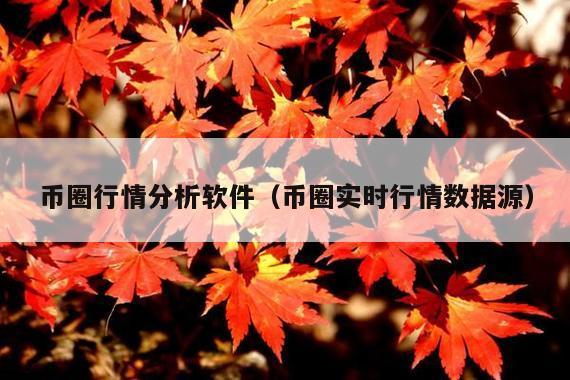 币圈行情分析软件(币圈实时行情数据源)