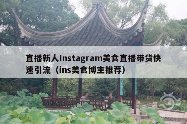 直播新人Instagram美食直播带货快速引流(ins美食博主推荐)