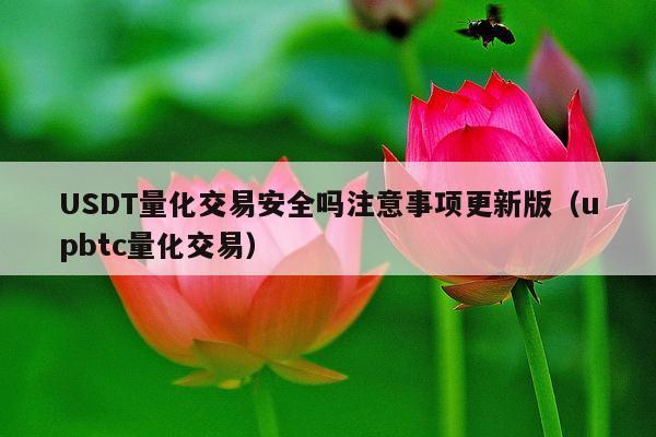 USDT量化交易安全吗注意事项更新版(upbtc量化交易)