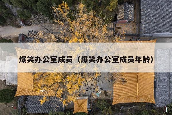 爆笑办公室成员(爆笑办公室成员年龄)