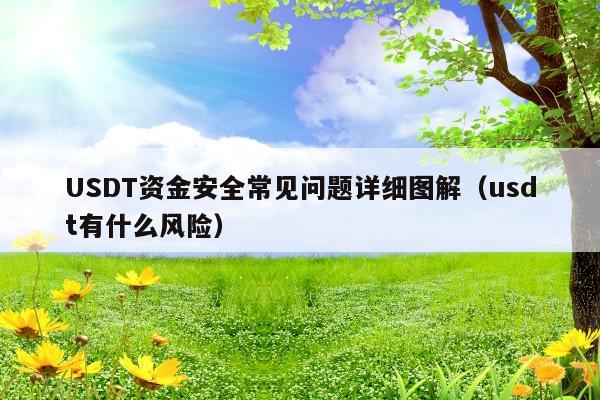 USDT资金安全常见问题详细图解(usdt有什么风险)