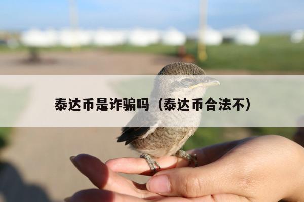 泰达币是诈骗吗(泰达币合法不)