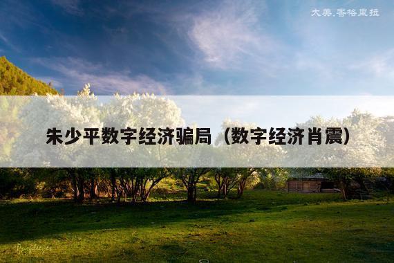 朱少平数字经济骗局(数字经济肖震)