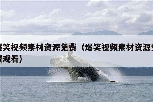 爆笑视频素材资源免费(爆笑视频素材资源免费观看)
