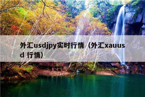 外汇usdjpy实时行情(外汇xauusd 行情)