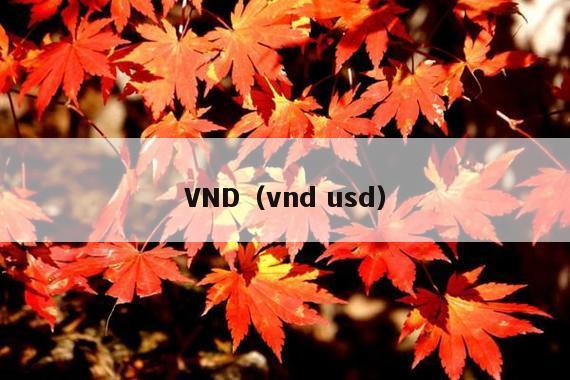 VND(vnd usd)