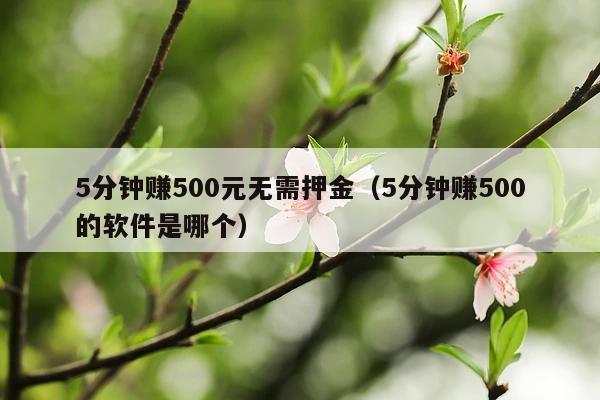 5分钟赚500元无需押金(5分钟赚500的软件是哪个)