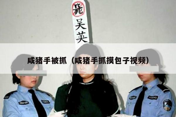 咸猪手被抓(咸猪手抓摸包子视频)