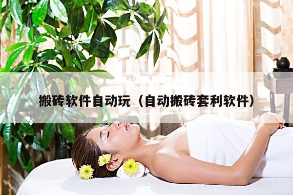 搬砖软件自动玩(自动搬砖套利软件)