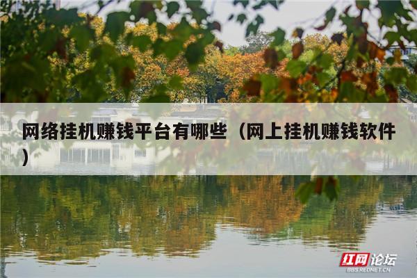 网络挂机赚钱平台有哪些(网上挂机赚钱软件)