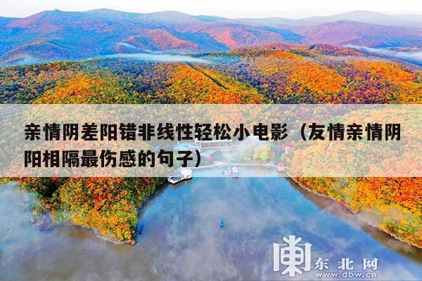 亲情阴差阳错非线性轻松小电影(友情亲情阴阳相隔最伤感的句子)