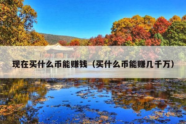现在买什么币能赚钱(买什么币能赚几千万)